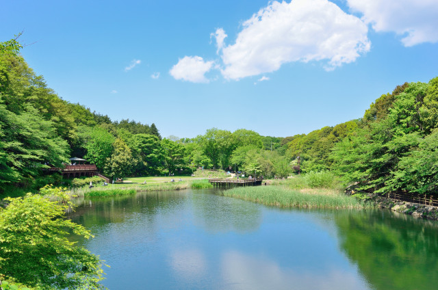 泉の森